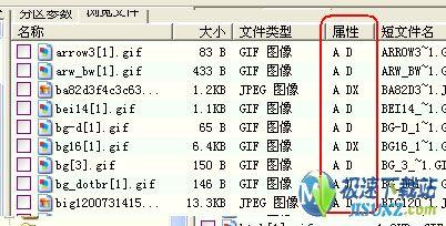 图5：误删除文件恢复 误格式化文件恢复