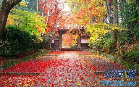 图1：Bing官方最新日本主题壁纸（一）