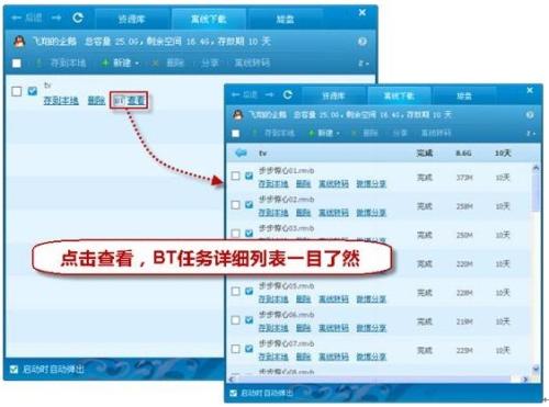 BT任务详细列表查看