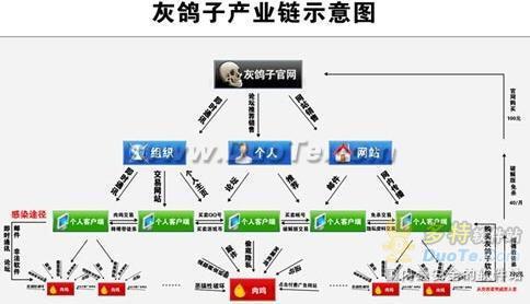 灰鸽子