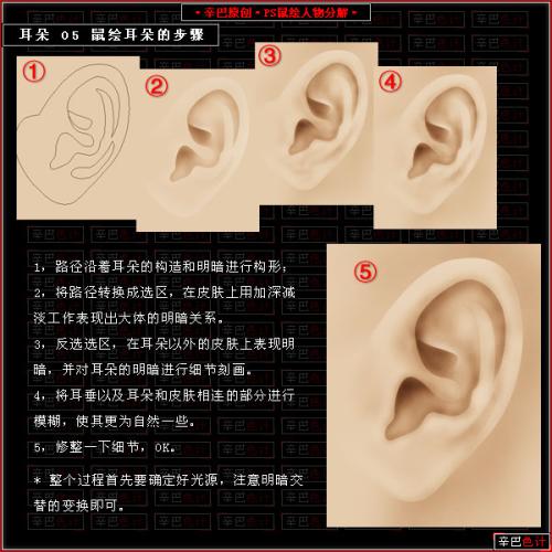 图6：Photoshop制人物耳朵教程