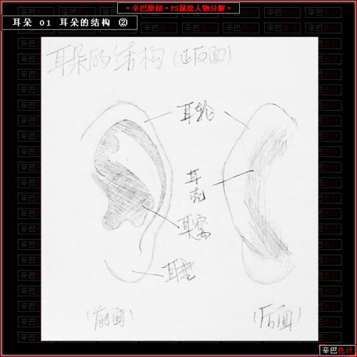 图2：Photoshop制人物耳朵教程