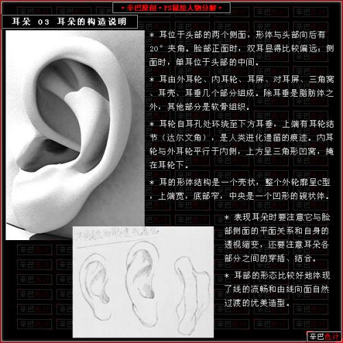 图4：Photoshop制人物耳朵教程