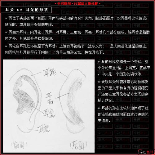 图3：Photoshop制人物耳朵教程