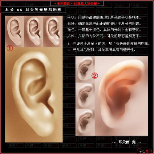 图7：Photoshop制人物耳朵教程