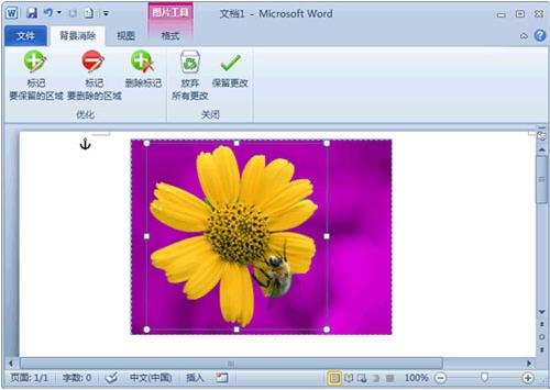 图2：Word 2010去除图片背景小技巧