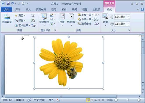 图3：Word 2010去除图片背景小技巧