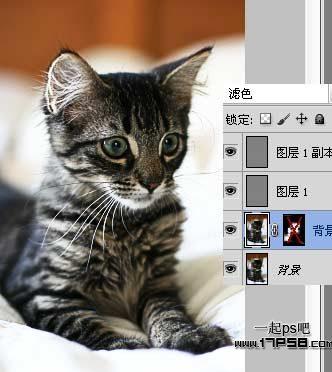 图6：photoshop巧用滤镜提升图片清晰度
