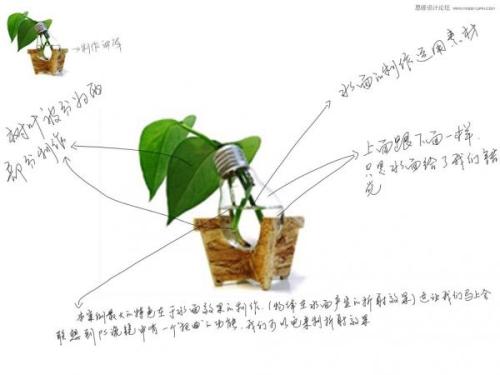 图10：Photoshop灯泡中的金鱼教程