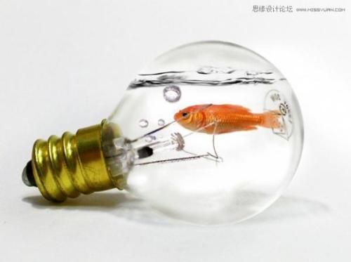 图1：Photoshop灯泡中的金鱼教程