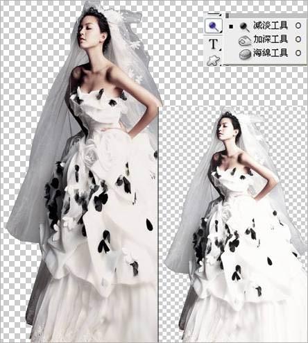 图5：Photoshop教程