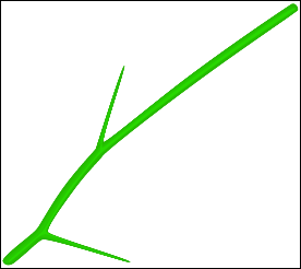 图5:Illustrator绘制漂亮的玫瑰花