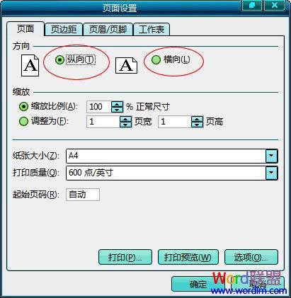 图4：EXCEL自动分页教程