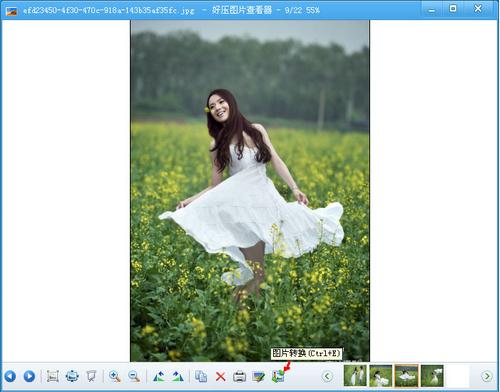图1：预览要转换的图片
