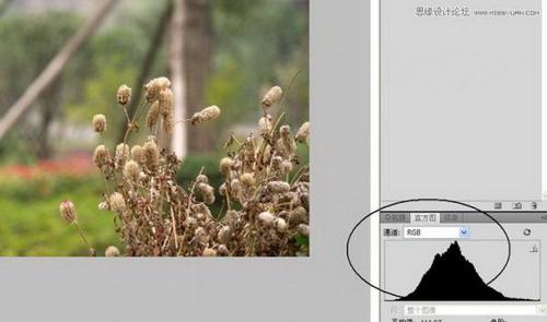 图18：Photoshop详细解析色阶命令的使用原理