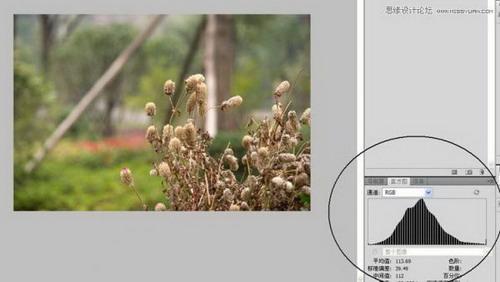 图16：Photoshop详细解析色阶命令的使用原理