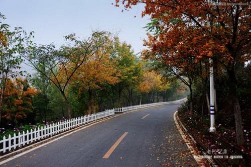 图2：Photoshop美化雾天风景照片教程