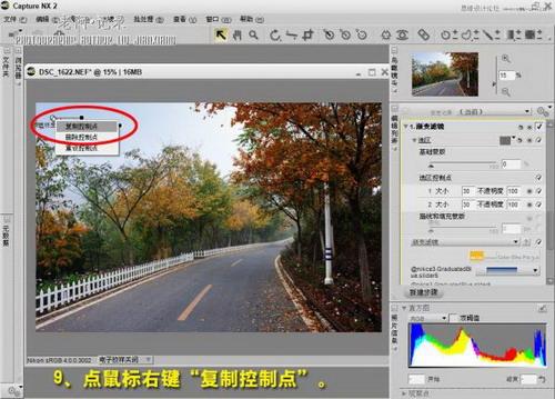 图11：Photoshop美化雾天风景照片教程