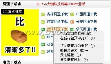 图1：让火狐3兼容所有下载工具