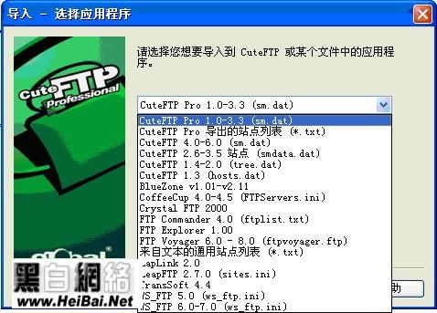 CuteFtp Pro安装起始画面（对某些功能和工具可以选择进行安装）