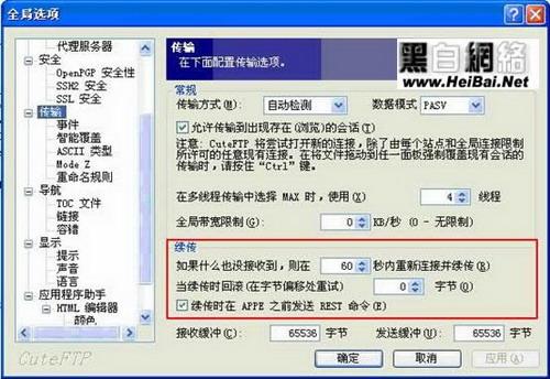CuteFtp断点续传设置画面