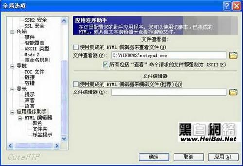 CuteFtp文件关联画面