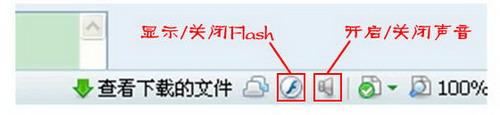 看浏览器右下角