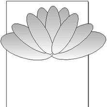 图4：FreeHand 设计荷花