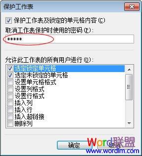 图4：Excel锁定单元格