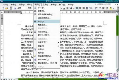 打开需要分栏的Word文档