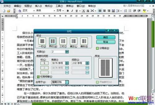 选项框中选择两栏或者三栏