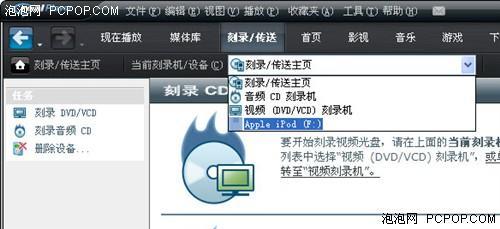 Apple iPod选项