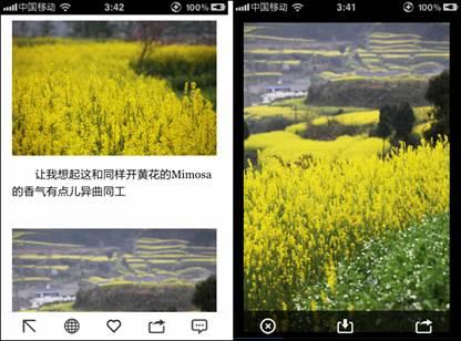 图4 在ZAKER中欣赏风景图片