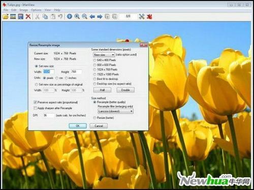 Irfanview Graphic Viewer