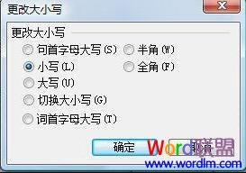 更改大小写对话框
