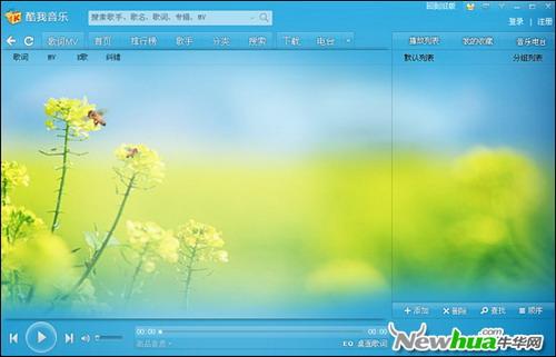 界面皮肤