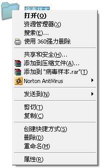 图9：Norton 2013截图