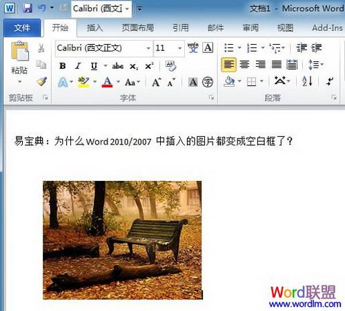图5：Word插入图片显示空白框的解决方法