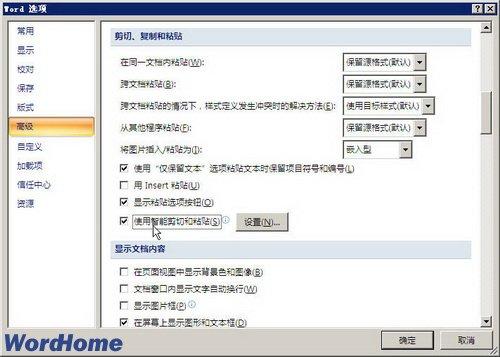图2 选中“使用智能剪切和粘贴”复选框