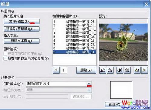 执行“插入→图片→新建相册”命令