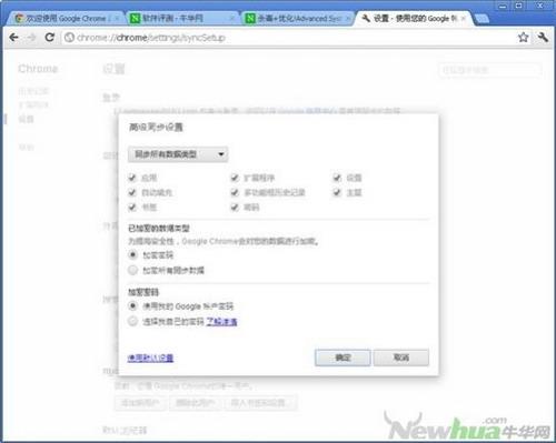 图14：Google Chrome 19.0 体验