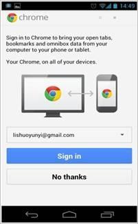 图13：Google Chrome 19.0 体验