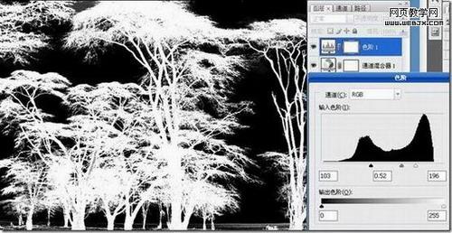 图5：巧用PhotoShop反相抠出复杂树木
