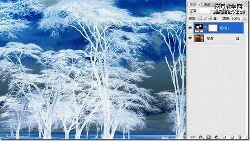 图3：巧用PhotoShop反相抠出复杂树木