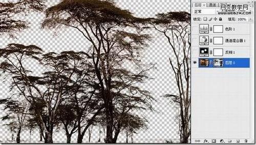 图6：巧用PhotoShop反相抠出复杂树木