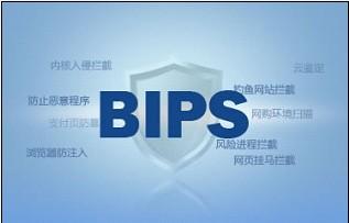 图1：首创BIPS技术