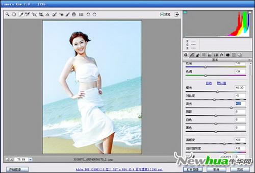 Camera Raw工具窗口