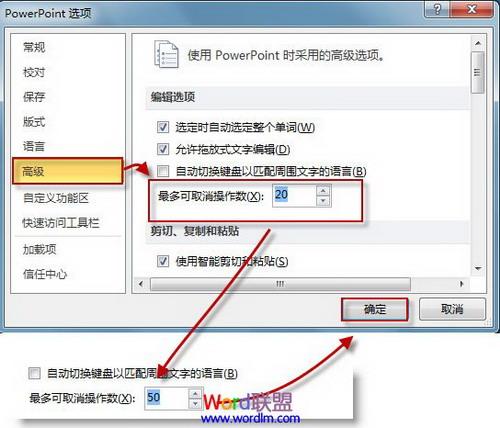 PPT选项界面