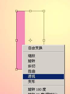 图3 透视