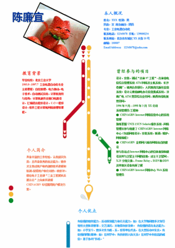 图2：WPS闪光简历作品欣赏